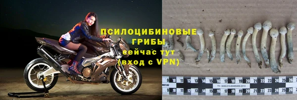 jwh Вязьма