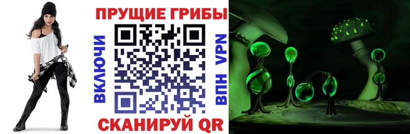 Галлюциногенные грибы мицелий  Купить где  Мариинск 